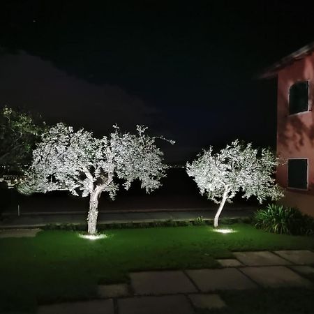 פאסטרנגו Nice Apartments Lake View & Free Parking מראה חיצוני תמונה